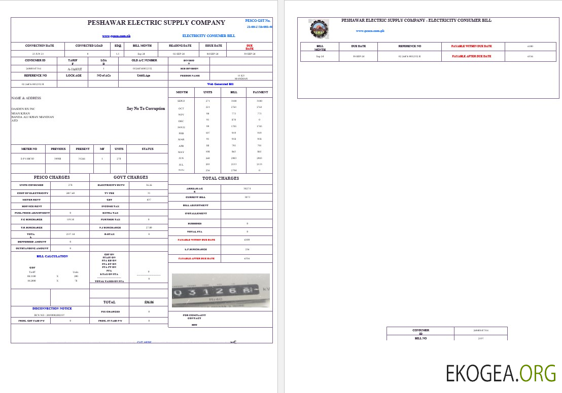 PAKISTAN PESHAWAR ELECTRIC SUPPLY COMPANY facture de services publics modèle Word et PDF